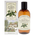 Shampoo - Nettle